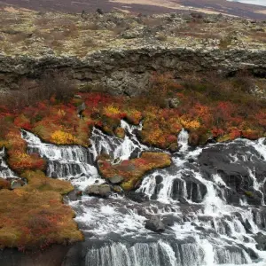 Explore 8 Days Northern Lights Exploration for 8 days with GJ Travel and discover unforgettable experiences - Photo 2