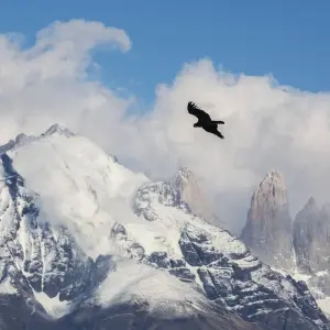 Explore End of the Earth for 14 days with G Adventures and discover unforgettable experiences - Photo 5