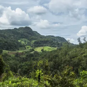 Explore Thailand and Laos Adventure for 14 days with G Adventures and discover unforgettable experiences - Photo 7