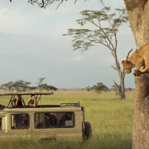Explore Serengeti & Ngorongoro Crater Safari Independent Adventure for 4 days with G Adventures and discover unforgettable experiences - Photo 6