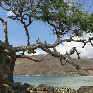 Explore Classic Lombok for 8 days with G Adventures and discover unforgettable experiences - Photo 3