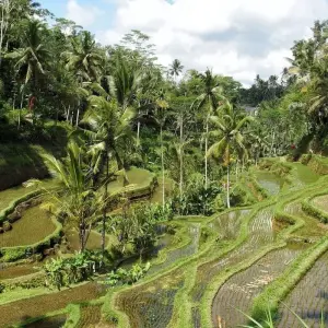 Explore Classic Lombok for 8 days with G Adventures and discover unforgettable experiences - Photo 6