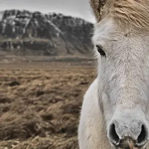 Explore 5 Days New Year's Northern Lights Adventure for 5 days with GJ Travel and discover unforgettable experiences - Photo 10