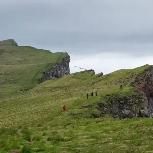 Explore 8 Days Westfjords of Iceland for 8 days with GJ Travel and discover unforgettable experiences - Photo 7