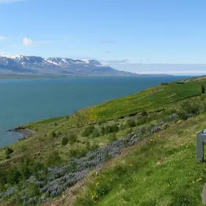 Explore 12 Days Grand Tour of Iceland for 12 days with GJ Travel and discover unforgettable experiences - Photo 6