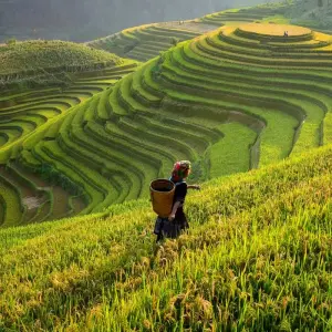Explore China to Vietnam: An Overland Adventure for 7 days with G Adventures and discover unforgettable experiences - Photo 6