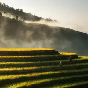 Explore China to Vietnam: An Overland Adventure for 7 days with G Adventures and discover unforgettable experiences - Photo 9
