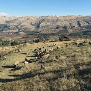 Explore Inca Discovery Plus for 9 days with G Adventures and discover unforgettable experiences - Photo 3