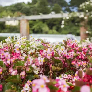 Explore Highlights of New Zealand for 15 days with G Adventures and discover unforgettable experiences - Photo 4