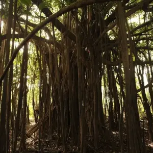 Explore The Inca Journey for 10 days with G Adventures and discover unforgettable experiences - Photo 5