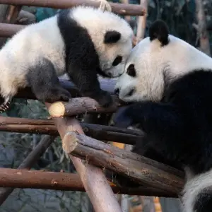 Explore Beijing to Kunming: Undiscovered China for 14 days with G Adventures and discover unforgettable experiences - Photo 2