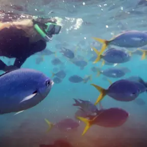 Explore Best of Australia for 14 days with G Adventures and discover unforgettable experiences - Photo 11