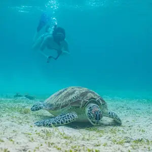 Explore Philippines Express for 7 days with G Adventures and discover unforgettable experiences - Photo 7