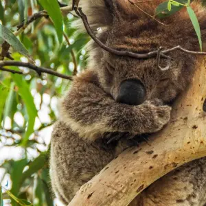 Explore Highlights of Australia and New Zealand for 29 days with G Adventures and discover unforgettable experiences - Photo 10