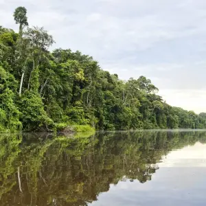 Explore Amazon to Andes with Machu Picchu by Train for 12 days with G Adventures and discover unforgettable experiences - Photo 10