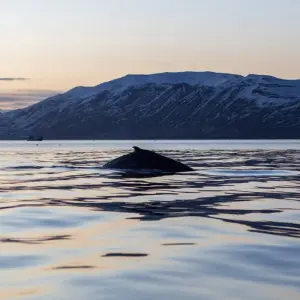 Explore Best of Iceland for 7 days with G Adventures and discover unforgettable experiences - Photo 7