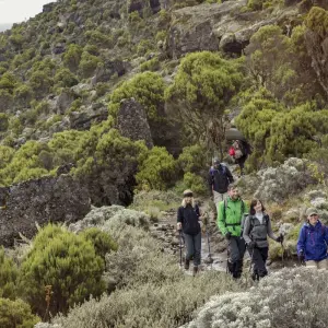 Explore Kilimanjaro – Machame Route & Serengeti Adventure for 13 days with G Adventures and discover unforgettable experiences - Photo 7