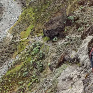 Explore Kilimanjaro – Machame Route & Serengeti Adventure for 13 days with G Adventures and discover unforgettable experiences - Photo 11