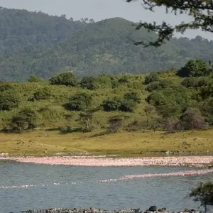 Explore Serengeti Safari & Zanzibar for 12 days with G Adventures and discover unforgettable experiences - Photo 6