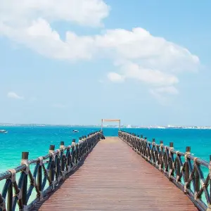 Explore Serengeti Safari & Zanzibar for 12 days with G Adventures and discover unforgettable experiences - Photo 8