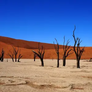 Explore Victoria Falls to Cape Town Overland Safari for 21 days with G Adventures and discover unforgettable experiences - Photo 9