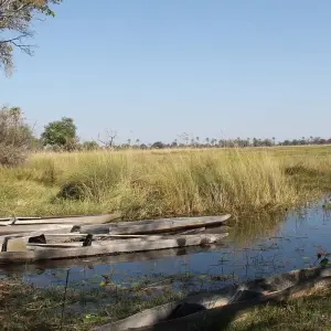 Explore Delta & Falls Eastbound: Baobab Trees & River Views for 9 days with G Adventures and discover unforgettable experiences - Photo 7