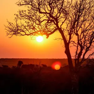 Explore Highlights of Madagascar for 14 days with G Adventures and discover unforgettable experiences - Photo 11