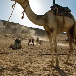 Explore Highlights of Egypt for 14 days with G Adventures and discover unforgettable experiences - Photo 10