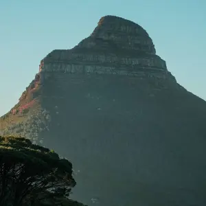 Explore Solo-ish South Africa for 10 days with G Adventures and discover unforgettable experiences - Photo 4