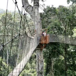 Explore Ghana: Beaches & Breathtaking Coastlines for 8 days with G Adventures and discover unforgettable experiences - Photo 6