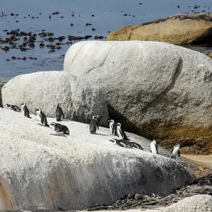 Explore Solo-ish South Africa for 10 days with G Adventures and discover unforgettable experiences - Photo 11