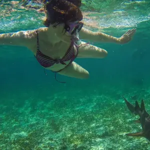 Explore Mayan Sun Southbound: Boat Rides & Ruins for 16 days with G Adventures and discover unforgettable experiences - Photo 3