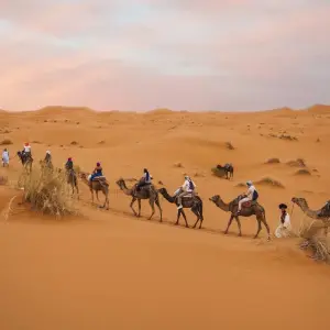 Explore Moroccan Desert Adventure: River Canyons & Camels for 7 days with G Adventures and discover unforgettable experiences - Photo 11