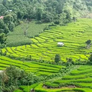 Explore Best of Cambodia & Northern Thailand for 15 days with G Adventures and discover unforgettable experiences - Photo 4