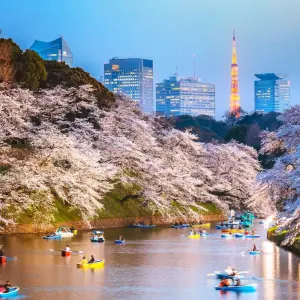 Explore Active Japan: Hokkaido Adventure for 9 days with G Adventures and discover unforgettable experiences - Photo 8