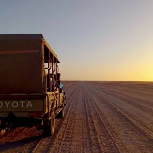 Explore Wilderness Conservation Expedition - Namibia for 5 days with GVI and discover unforgettable experiences - Photo 5