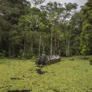 Explore The Great South American Journey: Quito to Rio Adventure for 65 days with G Adventures and discover unforgettable experiences - Photo 7