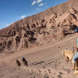 Explore The Great South American Journey: Quito to Rio Adventure for 65 days with G Adventures and discover unforgettable experiences - Photo 11