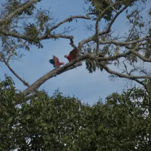 Explore Local Living Ecuador—Amazon Jungle for 7 days with G Adventures and discover unforgettable experiences - Photo 2