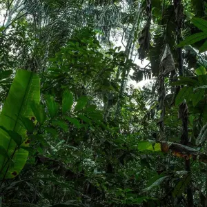 Explore Local Living Ecuador—Amazon Jungle for 7 days with G Adventures and discover unforgettable experiences - Photo 3