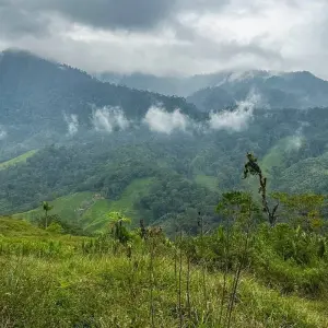 Explore Lost City Trek Colombia 4 Days Tour for 4 days with GUIDEcuador Travel and discover unforgettable experiences - Photo 2