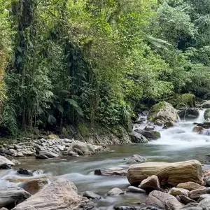 Explore Lost City Trek Colombia 4 Days Tour for 4 days with GUIDEcuador Travel and discover unforgettable experiences - Photo 3