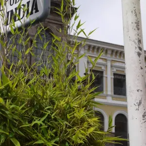 Explore Local Living Ecuador—Amazon Jungle for 7 days with G Adventures and discover unforgettable experiences - Photo 7