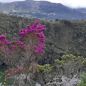 Explore Colombia Highlights 15 Days Tour for 15 days with GUIDEcuador Travel and discover unforgettable experiences - Photo 5