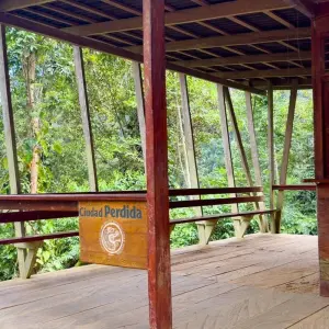 Explore Lost City Trek Colombia 4 Days Tour for 4 days with GUIDEcuador Travel and discover unforgettable experiences - Photo 4