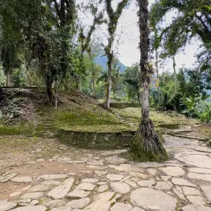 Explore Lost City Trek Colombia 4 Days Tour for 4 days with GUIDEcuador Travel and discover unforgettable experiences - Photo 6