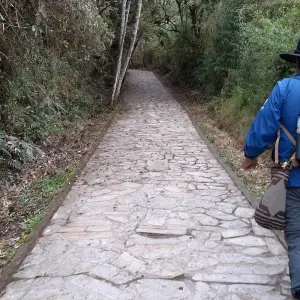 Explore Colombia Highlights 15 Days Tour for 15 days with GUIDEcuador Travel and discover unforgettable experiences - Photo 8