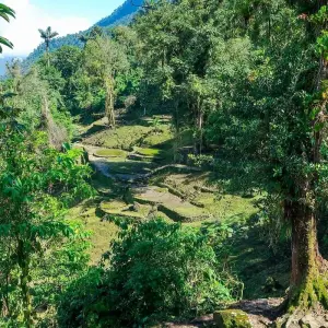 Explore Lost City Trek Colombia 4 Days Tour for 4 days with GUIDEcuador Travel and discover unforgettable experiences - Photo 7