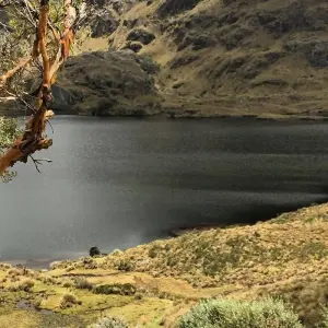 Explore South American Encounters 19 Day Tour for 19 days with GUIDEcuador Travel and discover unforgettable experiences - Photo 4