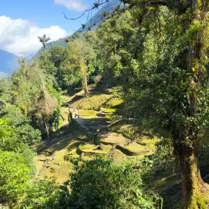Explore Lost City Trek Colombia 4 Days Tour for 4 days with GUIDEcuador Travel and discover unforgettable experiences - Photo 8